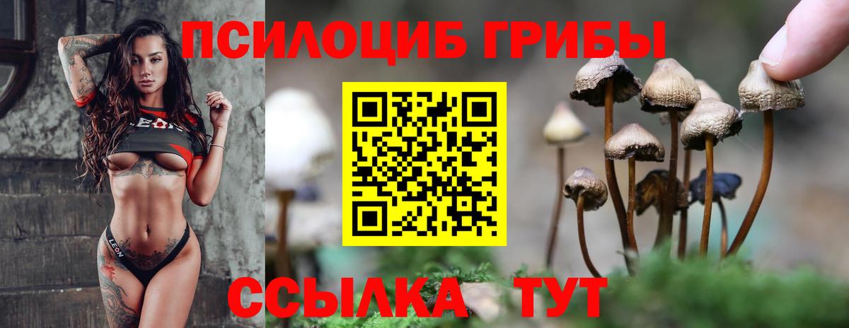 Железноводск  Галлюциногенные грибы ЛСД  Вход с VPN  Псилоцибиновые грибы ЛСД 